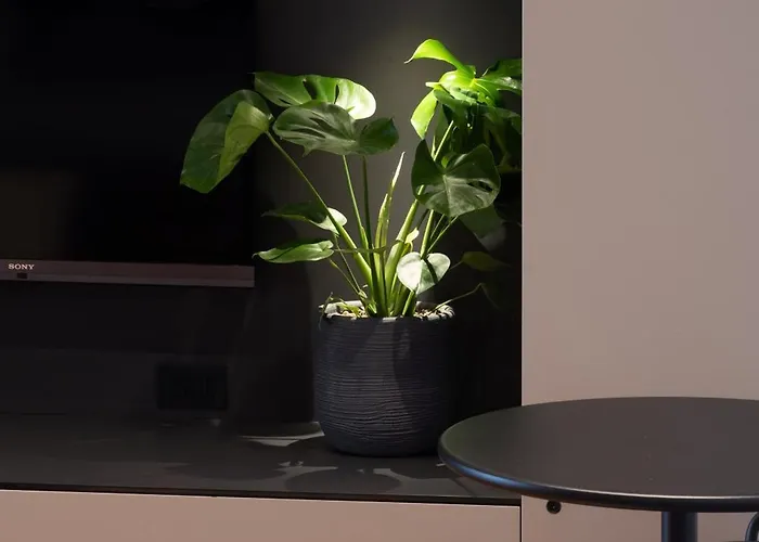 Borghetto Appartement *